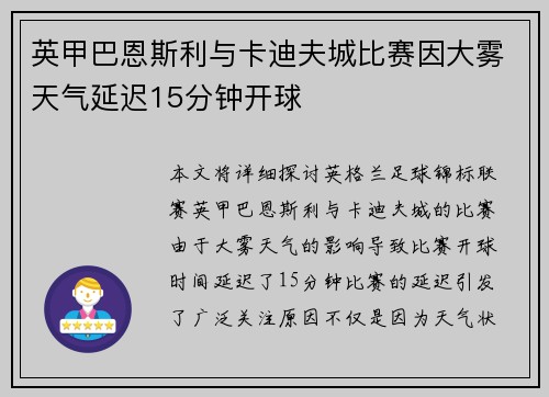 英甲巴恩斯利与卡迪夫城比赛因大雾天气延迟15分钟开球